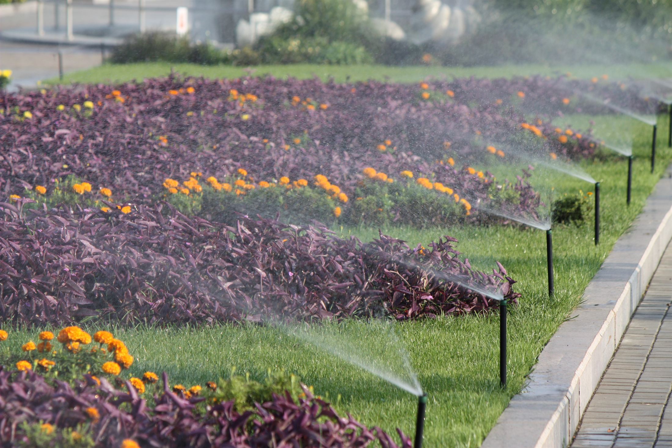 Парк Ленінського Комсомолу, фото 35